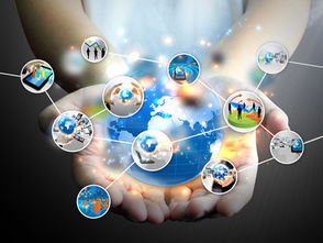 跨界風(fēng)潮來(lái)襲 網(wǎng)絡(luò)技術(shù)研發(fā)的“風(fēng)口尋豬”之道